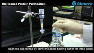 Histagged Protein Purification [upl. by Otsirave]