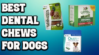 Best Dental Chews for Dogs  Top 5 Dog Dental Chews [upl. by Bonucci]