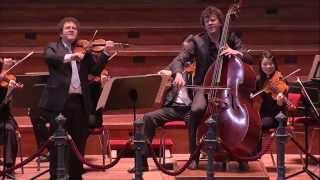 Bottesini Gran duo concertante  Concertgebouw Kamerorkest  Live Concert  HD [upl. by Analli]