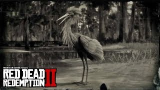 RED DEAD REDEMPTION 2  Snowy Egret amp Reddish Egret Location SnowyReddish Egret Plume Location [upl. by Devora]