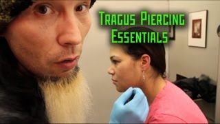 Tragus Piercing Essentials THE MODIFIED WORLD [upl. by Ardnalahs]